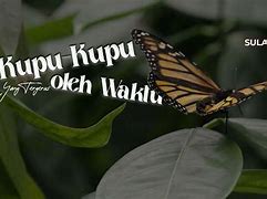 Kupu Kupu Musim Semi Topic 1 Bahasa Inggris Indonesia Apa